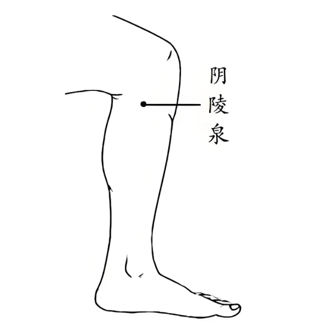 避免了陆上, 种运动方式