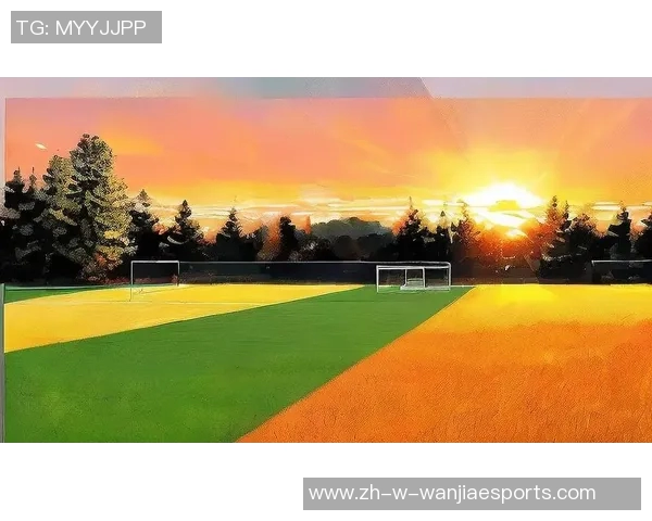 足球之心：球场英雄背后的激情与挑战